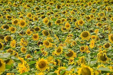 科幻恐怖《虚空裂隙：雷达恐怖生存游戏》现已发售